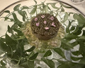 Dinner at French Restaurant AZUR et MASA UEKI (AZUR et MASA UEKI)
