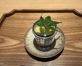 Dinner at Japanese Cuisine FUJI