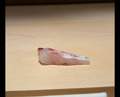 Dinner at Sushi Ikkou (鮨 一幸)