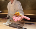 Dinner at Sushi Ikkou (鮨 一幸)
