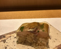 Dinner at Sushi Kizuna (鮓 きずな)