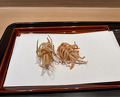 Dinner at Tempura Kondo (てんぷら 近藤)