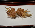 Dinner at Tempura Kondo (てんぷら 近藤)