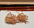 Dinner at Tempura Kondo (てんぷら 近藤)