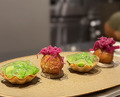Dinner at l'algorithm (アルゴリズム)