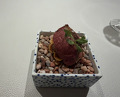 Dinner at Restaurant L’ÉTERRE