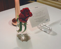 Dinner at La Baie (ラ・ベ)