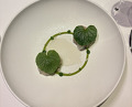 Dinner at LATURE (ラチュレ)