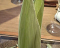 Dinner at LATURE (ラチュレ)