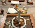 Dinner at LATURE (ラチュレ)