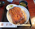 Dinner at Unagi no Matsu Ka (うなぎのまつ嘉)