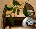 Dinner at Matsukawa (松川)