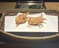 Dinner at Mikawa Zezankyo (みかわ 是山居)