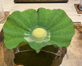 Dinner at Oryori Mitsuyasu (御料理 光安)