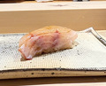 Dinner at Sushi Miyakawa (すし宮川)