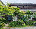 Dinner at Yabusoba Miyamoto (薮蕎麦 宮本)