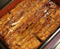 Dinner at Unagi Musashino (鰻 むさし乃)