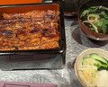 Dinner at Unagi Musashino (鰻 むさし乃)