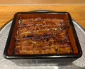 Dinner at Unagi Musashino (鰻 むさし乃)