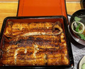 Dinner at Unagi Musashino (鰻 むさし乃)