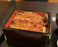 Dinner at Unagi Musashino (鰻 むさし乃)
