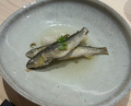 Dinner at Sushi Nishizaki (鮨 西崎)