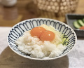 Dinner at Jidoriya Onza (じどりや 穏座)