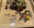 Dinner at Gion Owatari