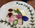 Dinner at Restaurant Ryu (レストランRyu)
