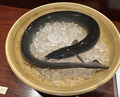 Dinner at Rin (麟)