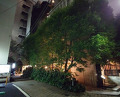 Dinner at Sushi Ryujiro