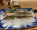 Dinner at Syumokuchou Shimizu