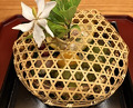 Dinner at Shizen Muku An (召膳 無苦庵)