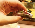 Dinner at Sushi Dokoro Tada (鮨処 多田)