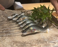 Dinner at Japanese cuisine Takamitsu (日本料理 鷹光)