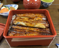 Dinner at Unagi Tei Tomoei (うなぎ亭 友栄)