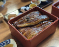 Dinner at Unagi Tei Tomoei (うなぎ亭 友栄)