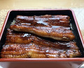 Dinner at Unagi Tei Tomoei (うなぎ亭 友栄)