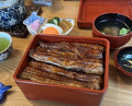 Dinner at Unagi Tei Tomoei (うなぎ亭 友栄)