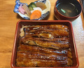 Dinner at Unagi Tei Tomoei (うなぎ亭 友栄)