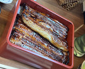 Dinner at Unagi Tei Tomoei (うなぎ亭 友栄)