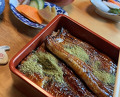 Dinner at Unagi Tei Tomoei (うなぎ亭 友栄)