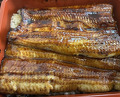 Dinner at Unagi Tei Tomoei (うなぎ亭 友栄)