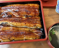 Dinner at Unagi Tei Tomoei (うなぎ亭 友栄)