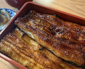 Dinner at Unagi Tei Tomoei (うなぎ亭 友栄)