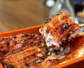 Dinner at Unagi Uomasa (うなぎ 魚政)