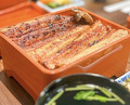 Dinner at Unagi Uomasa (うなぎ 魚政)
