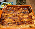 Dinner at Unagi Uomasa (うなぎ 魚政)