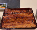 Dinner at Unagi Uomasa (うなぎ 魚政)