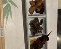 Dinner at Unagi Uomasa (うなぎ 魚政)